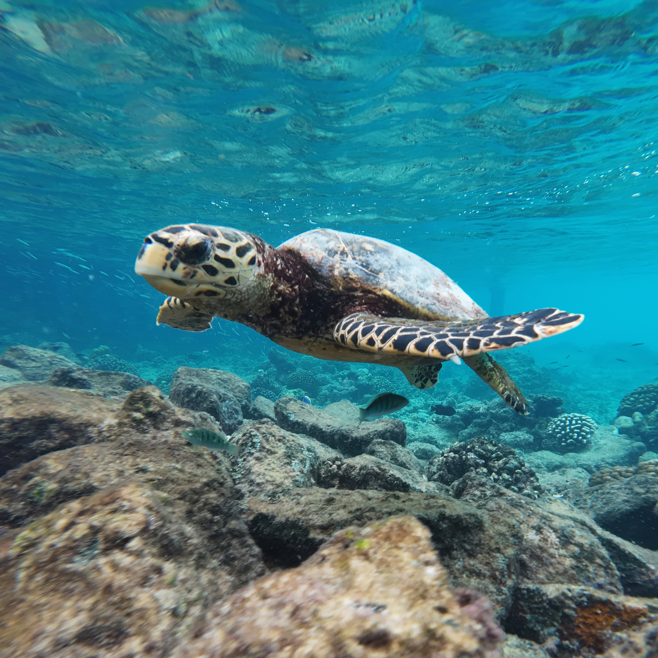 Robert Kaniewski Lifestyle