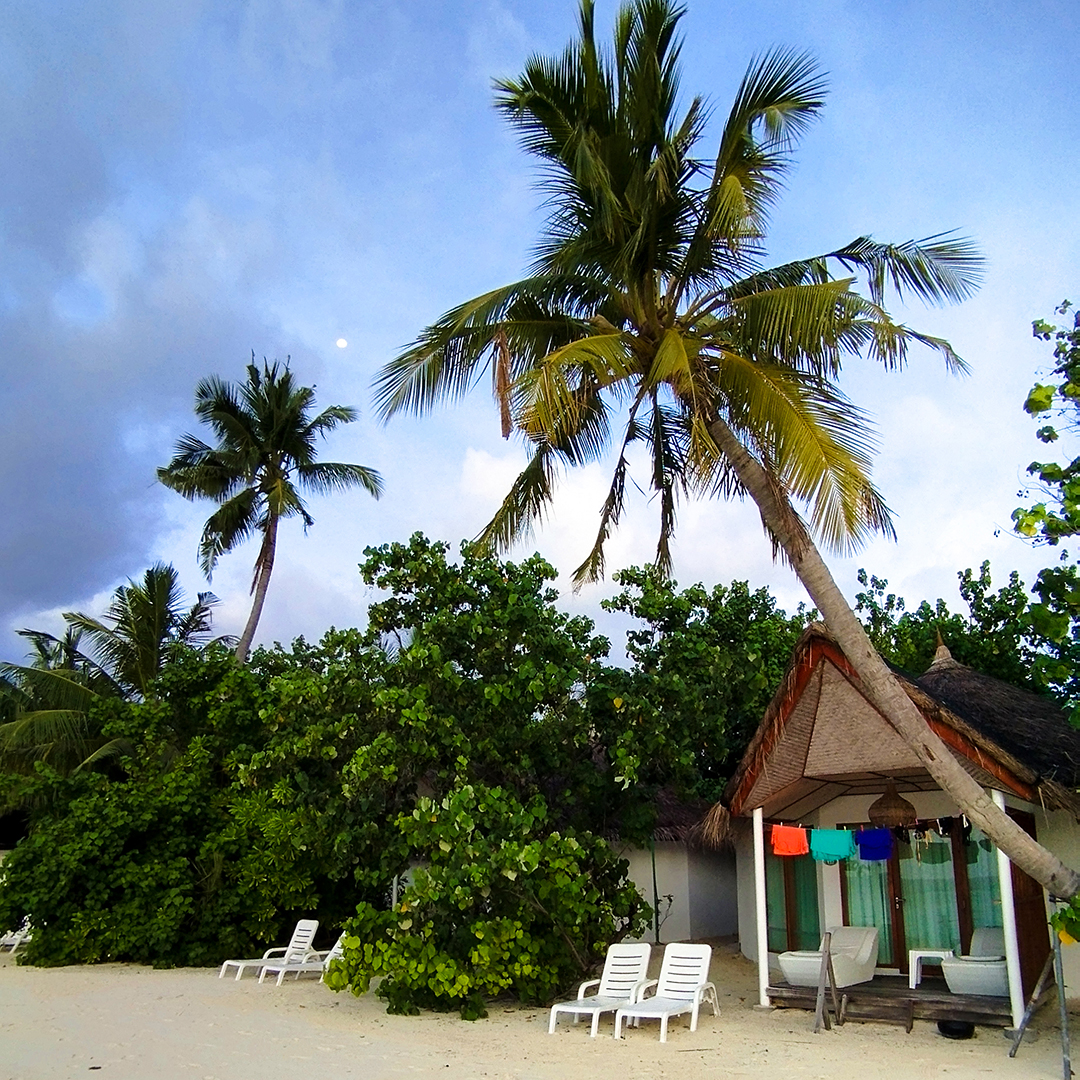 Robert Kaniewski Lifestyle