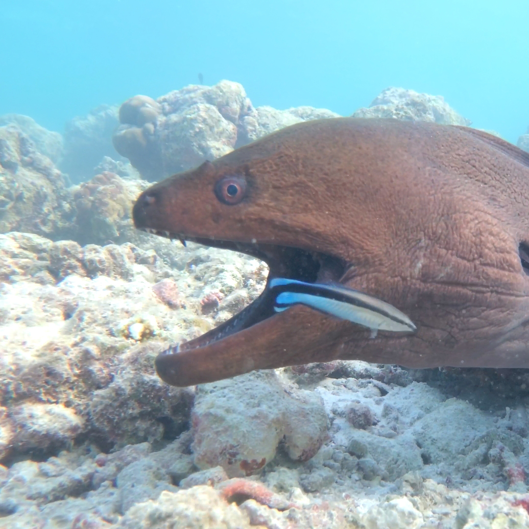 Robert Kaniewski Lifestyle